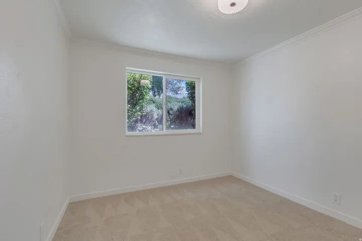 Neutral wall paint, crown molding, and a single window with exterior greenery
