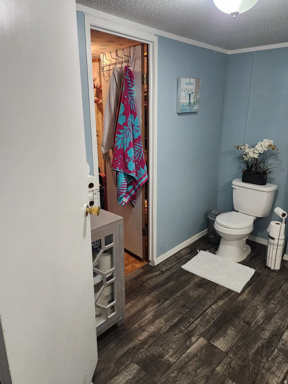 Bathroom featuring wood-finish flooring, light blue paneling, a white toilet, and a ceiling-mounted light fixture