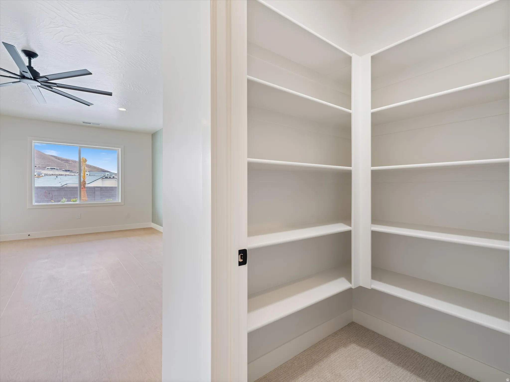 Walk-in pantry featuring extensive built-in shelving, neutral carpet flooring, and a contemporary door handle