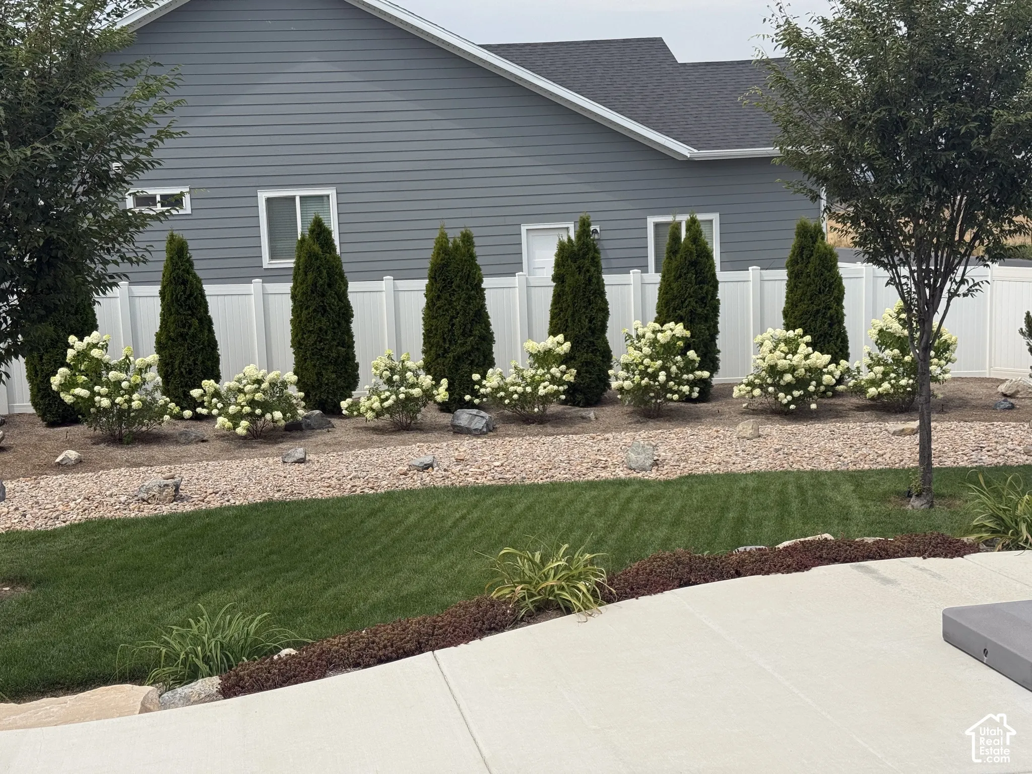 Hydrangeas in full bloom! Manicured lawn with a concrete patio, bordered by an irrigated landscape bed featuring decorative rock and mature shrubs