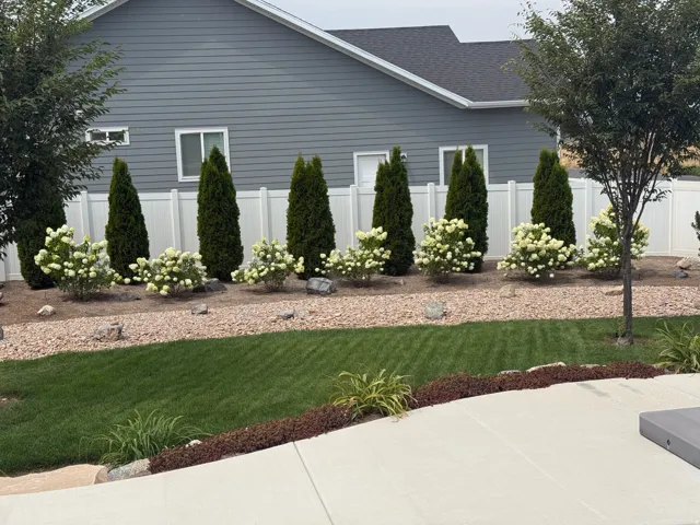 Hydrangeas in full bloom! Manicured lawn with a concrete patio, bordered by an irrigated landscape bed featuring decorative rock and mature shrubs