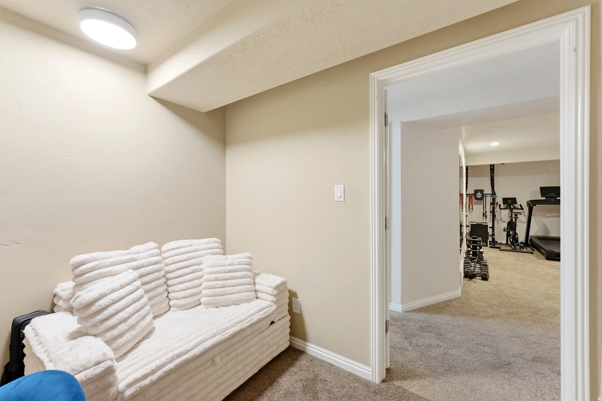 Carpeted room with neutral wall paint and white trim molding