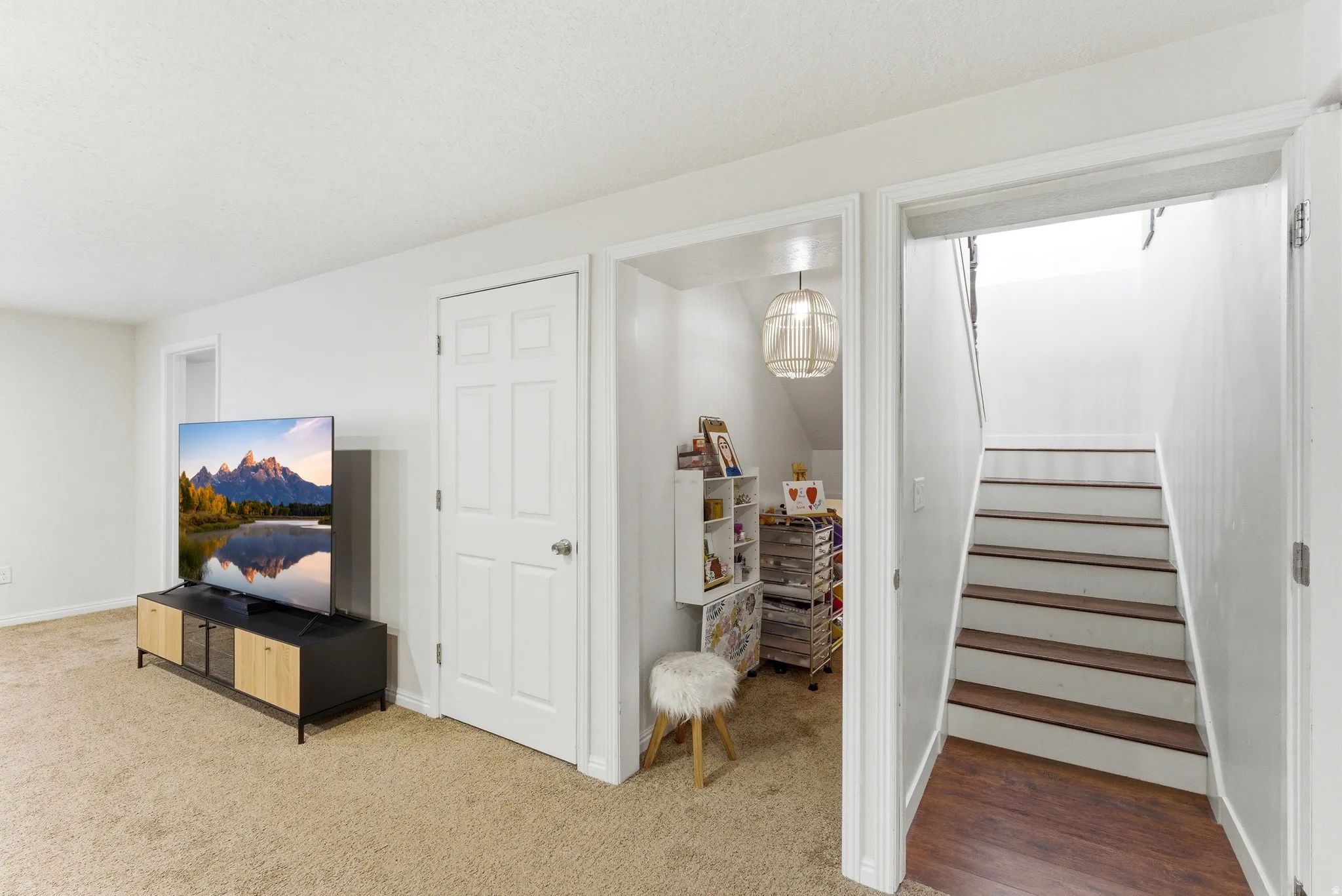 Carpeted room with a built-in under-stair storage area featuring an overhead light fixture