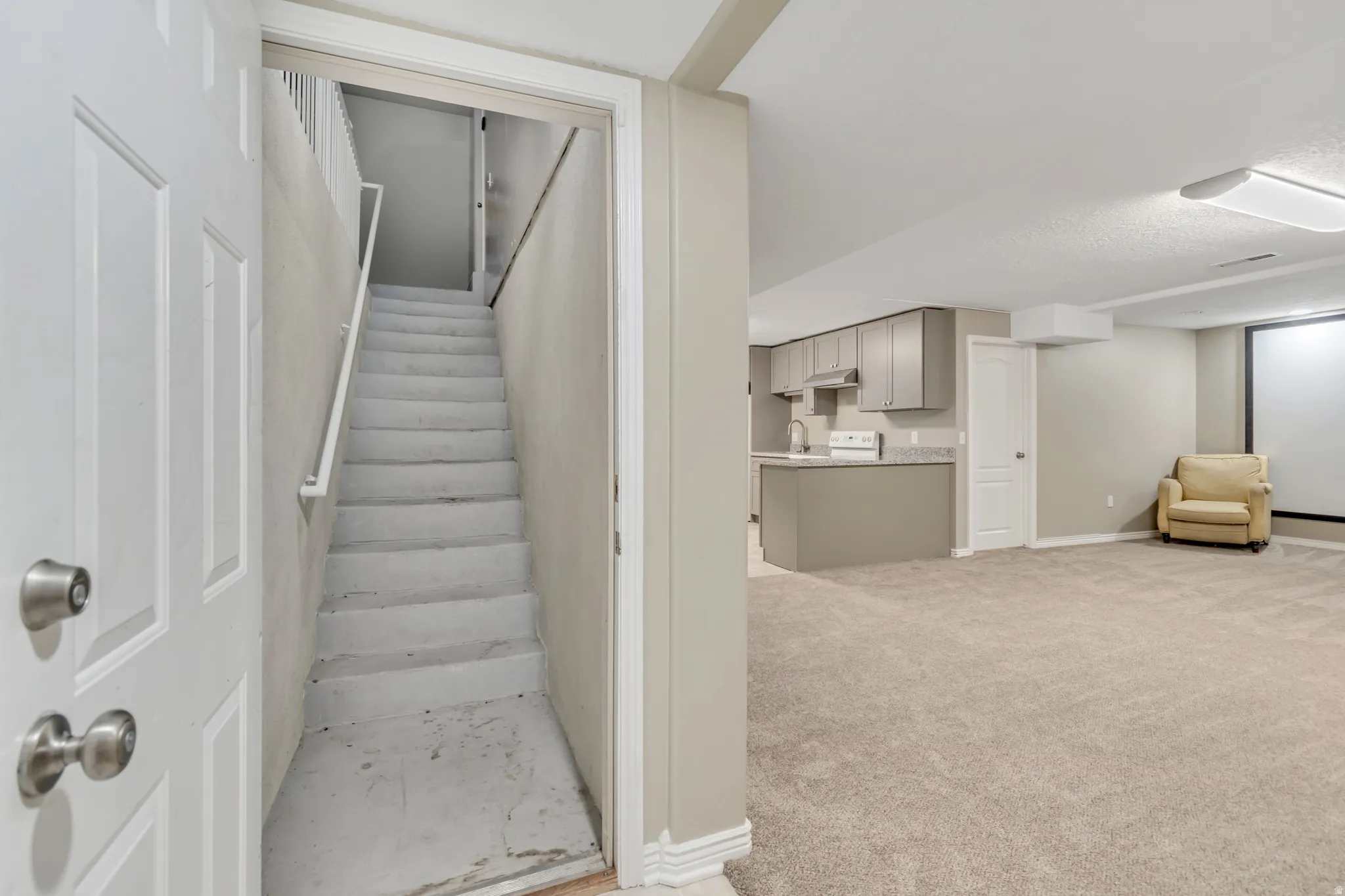 Lower-level living area featuring neutral carpeting, a partial kitchen with grey cabinetry, and a large projection screen