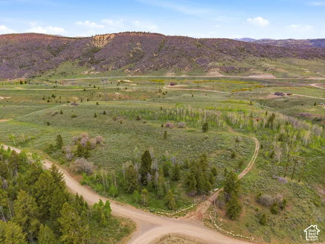 Expansive land parcel featuring diverse topography with rolling hills, established evergreen and deciduous trees, and natural vegetation