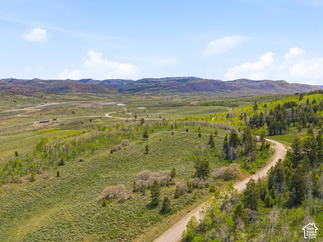 Expansive rural terrain featuring rolling hills, a winding unpaved road, scattered evergreen trees, and distant mountainous topography