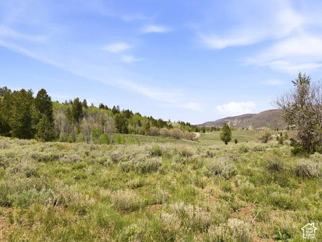 Expansive natural landscape featuring varied terrain, a mix of evergreen and deciduous trees, and distant mountain formations under a clear sky