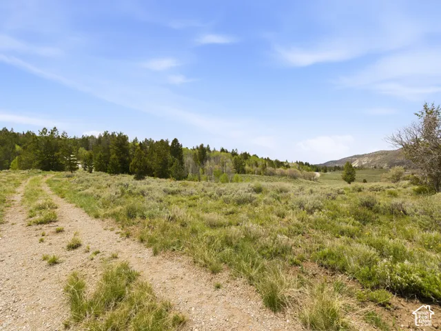 Expansive natural landscape with a gravel path, verdant foliage, distant hills, and mature trees