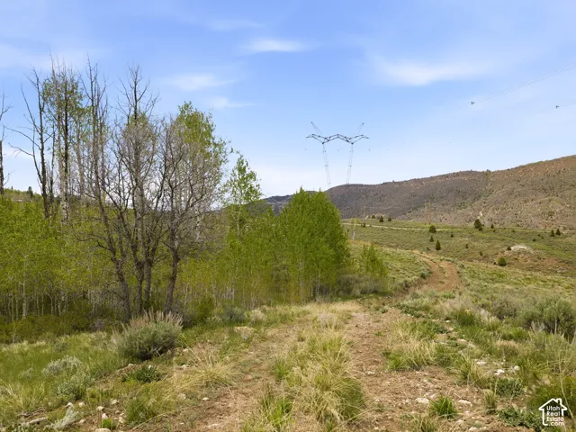 Expansive open land featuring diverse foliage and a clear sky