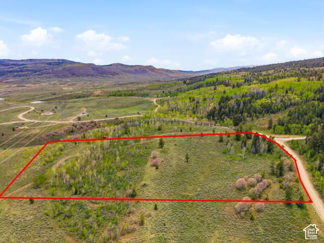 Expansive undeveloped parcel featuring varied topography, natural tree cover, and a dirt road bordering the property