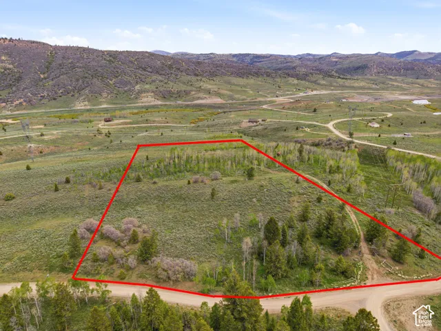 Expansive natural landscape featuring varied topography, mature trees, and natural vegetation