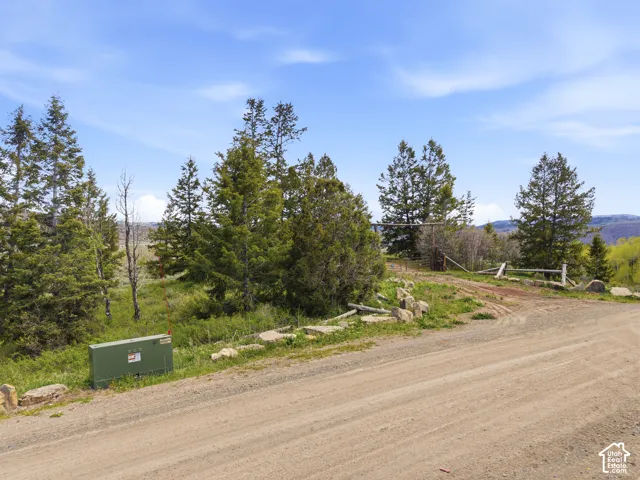 Rural gravel road with a utility box, surrounded by mature evergreen trees and natural landscaping