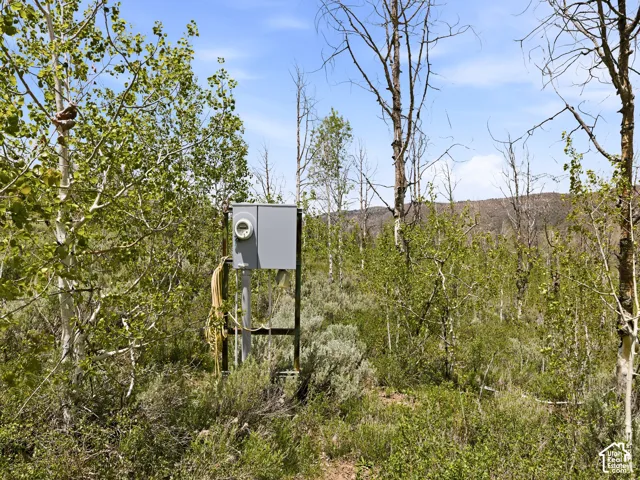 Outdoor electrical utility box with meter, set within a natural, undeveloped landscape featuring diverse foliage and distant rolling terrain