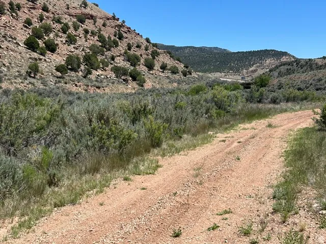 Unpaved road traversing a landscape featuring a rocky hillside with scattered evergreen shrubs, a broad expanse of natural scrubland, and distant mountainous terrain under a clear sky