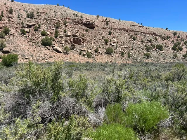 Expansive natural landscape featuring varied desert flora, a flat, undeveloped area, and a rugged hillside backdrop