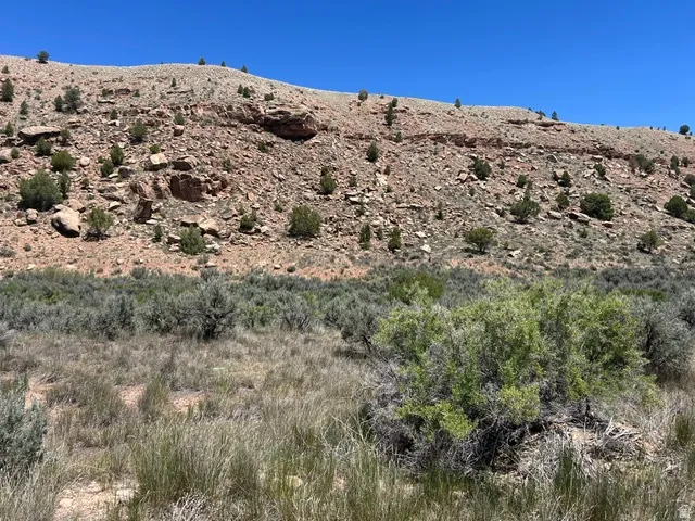 Expansive terrain featuring natural rock formations and diverse desert flora