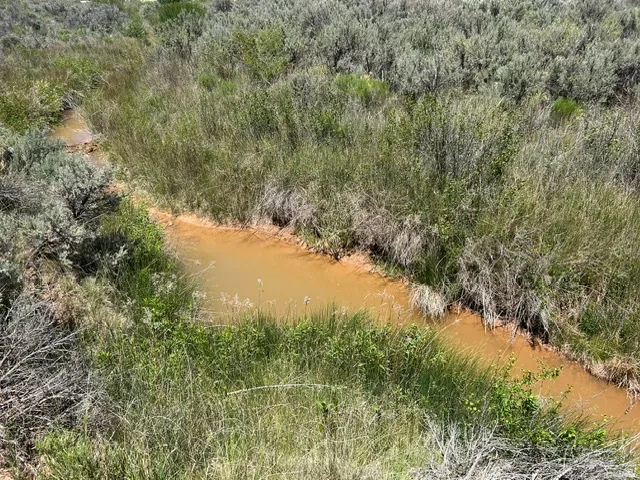 Natural waterway featuring an earthen bed and surrounding dense, green vegetation