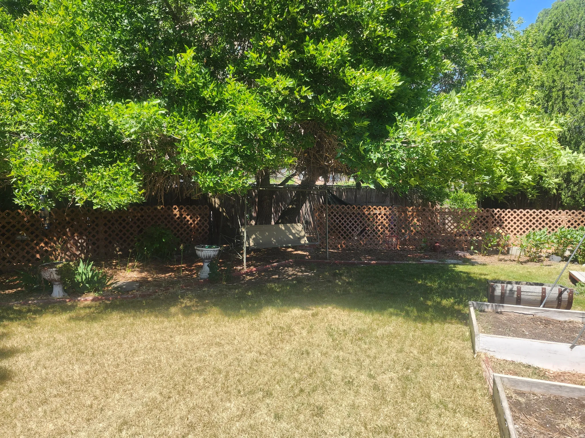 Lawn area with mature shade trees, lattice fencing, and raised garden beds