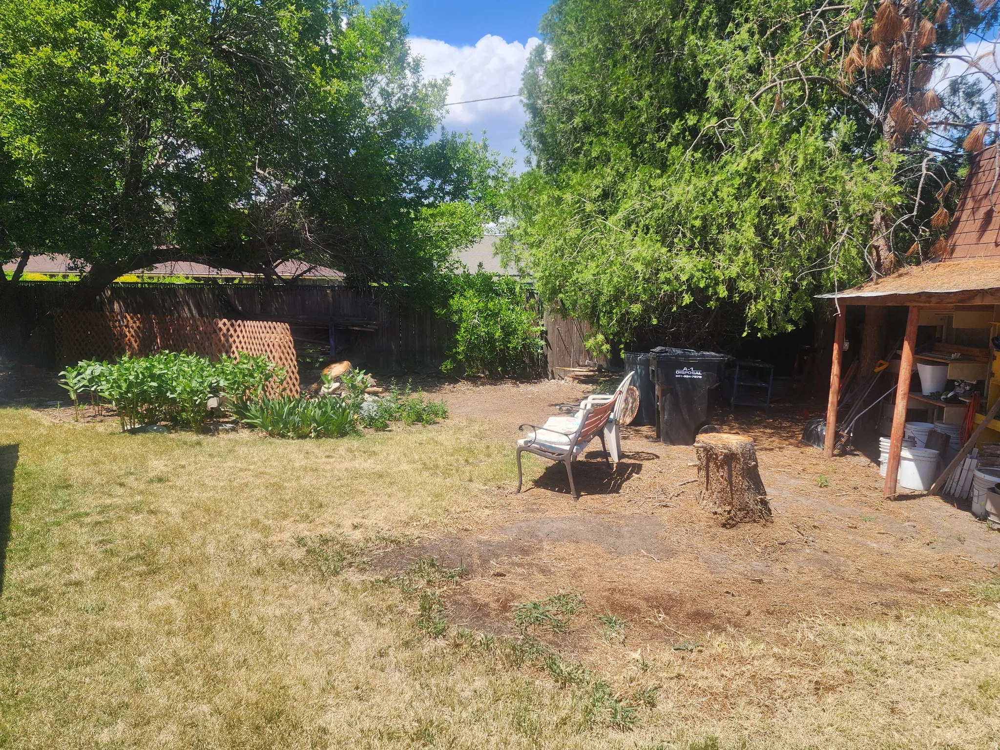 Expansive rear yard featuring mature trees, a partial wood fence, a small shed with a shingle roof, and a wood lattice panel