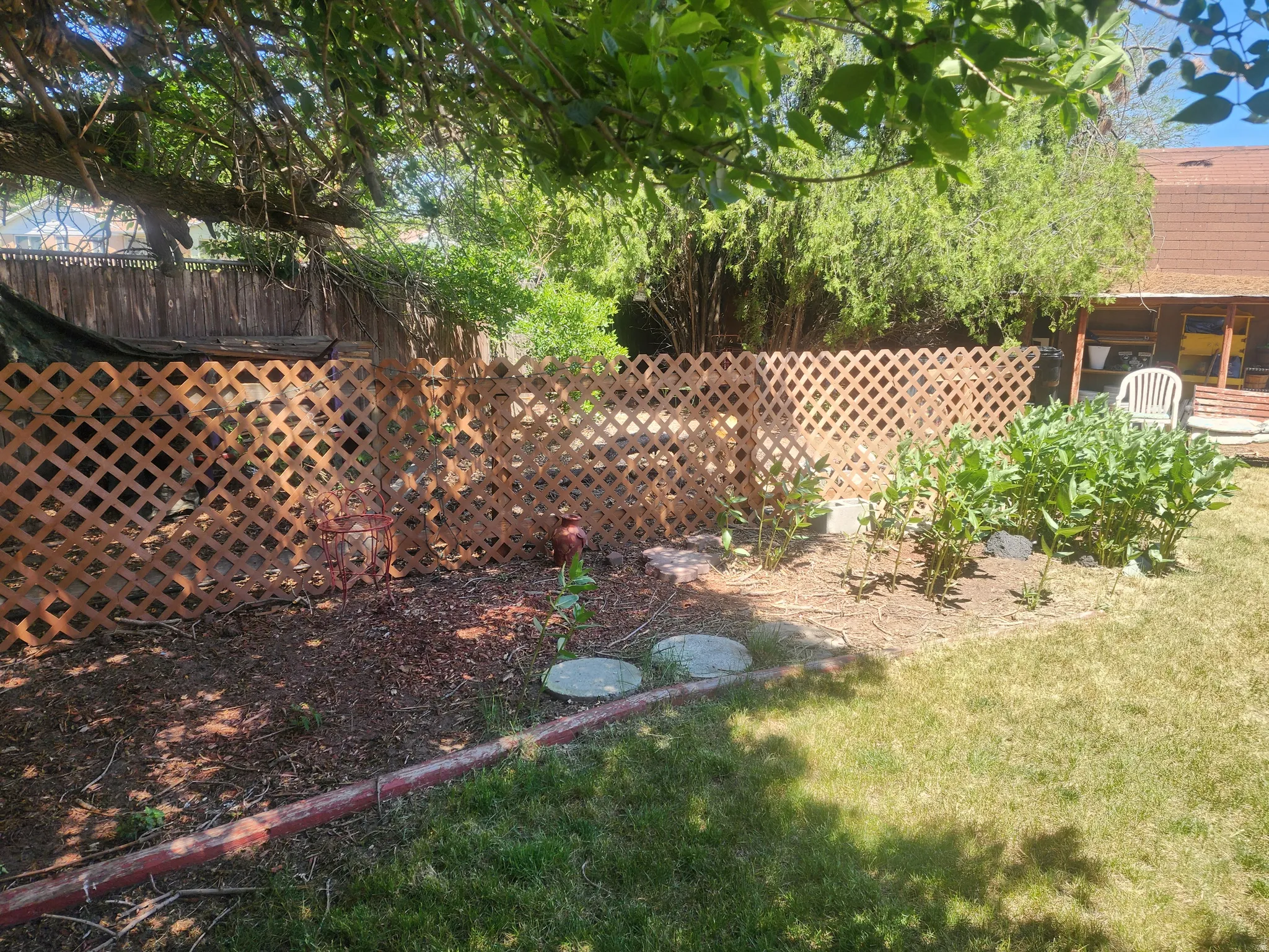 Landscaped garden bed featuring a lattice fence, established plantings, and a grass lawn