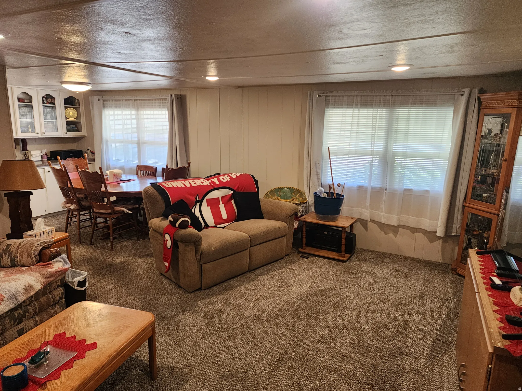 Open-concept living space featuring neutral carpet flooring and white vertical paneling