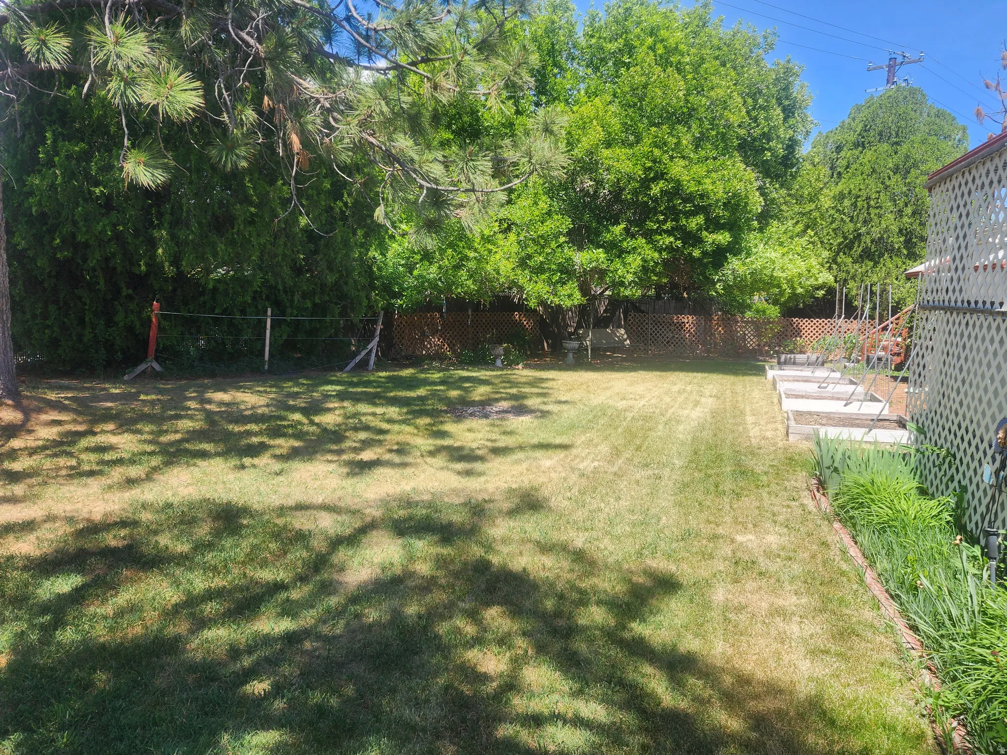 Expansive backyard featuring a manicured lawn, established trees, and raised garden beds