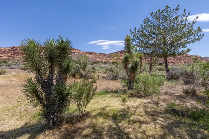 3181 East Bench Rd, Moab, Utah 84532