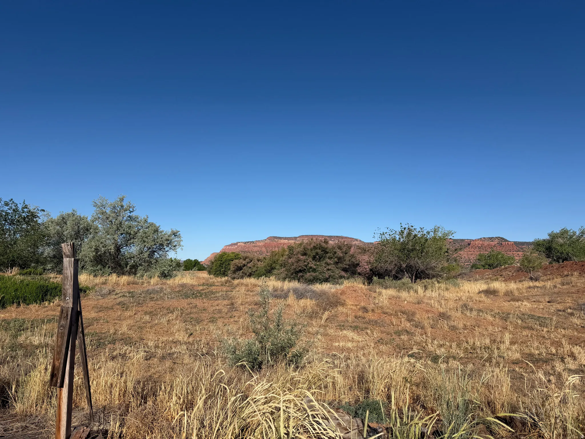 Expansive natural landscape featuring a clear blue sky, distant red rock formations, and varied ground cover