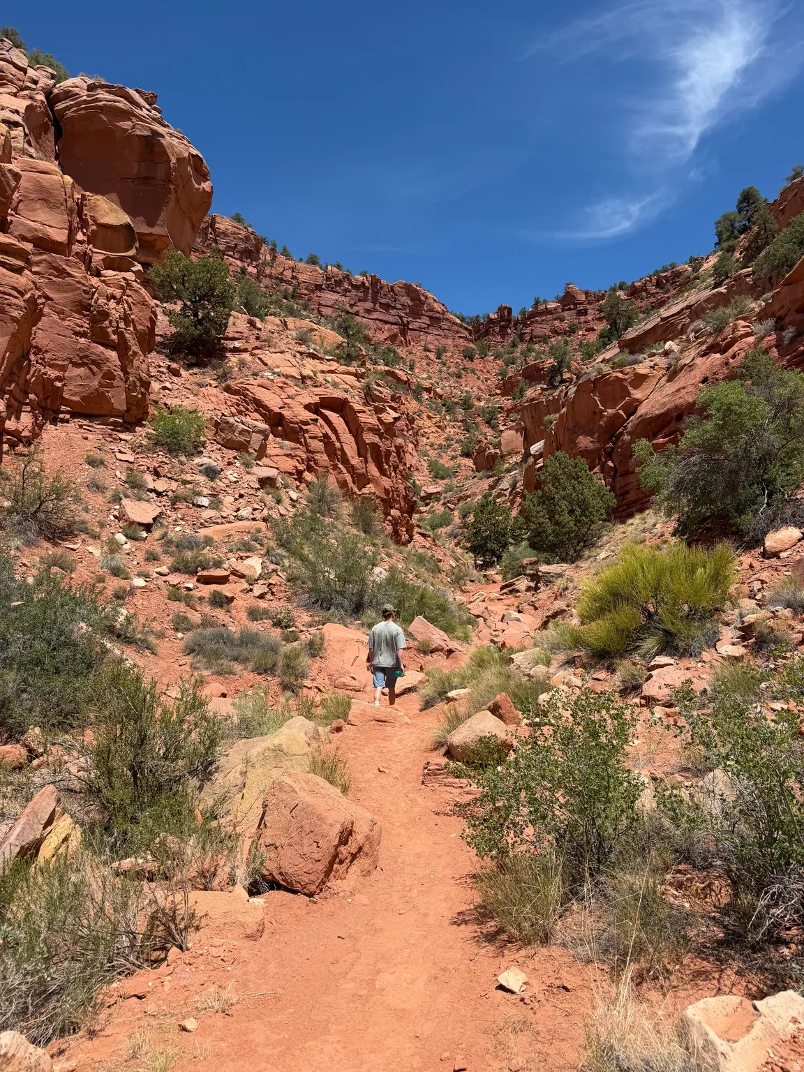 Local Kanab Trail for hiking near by