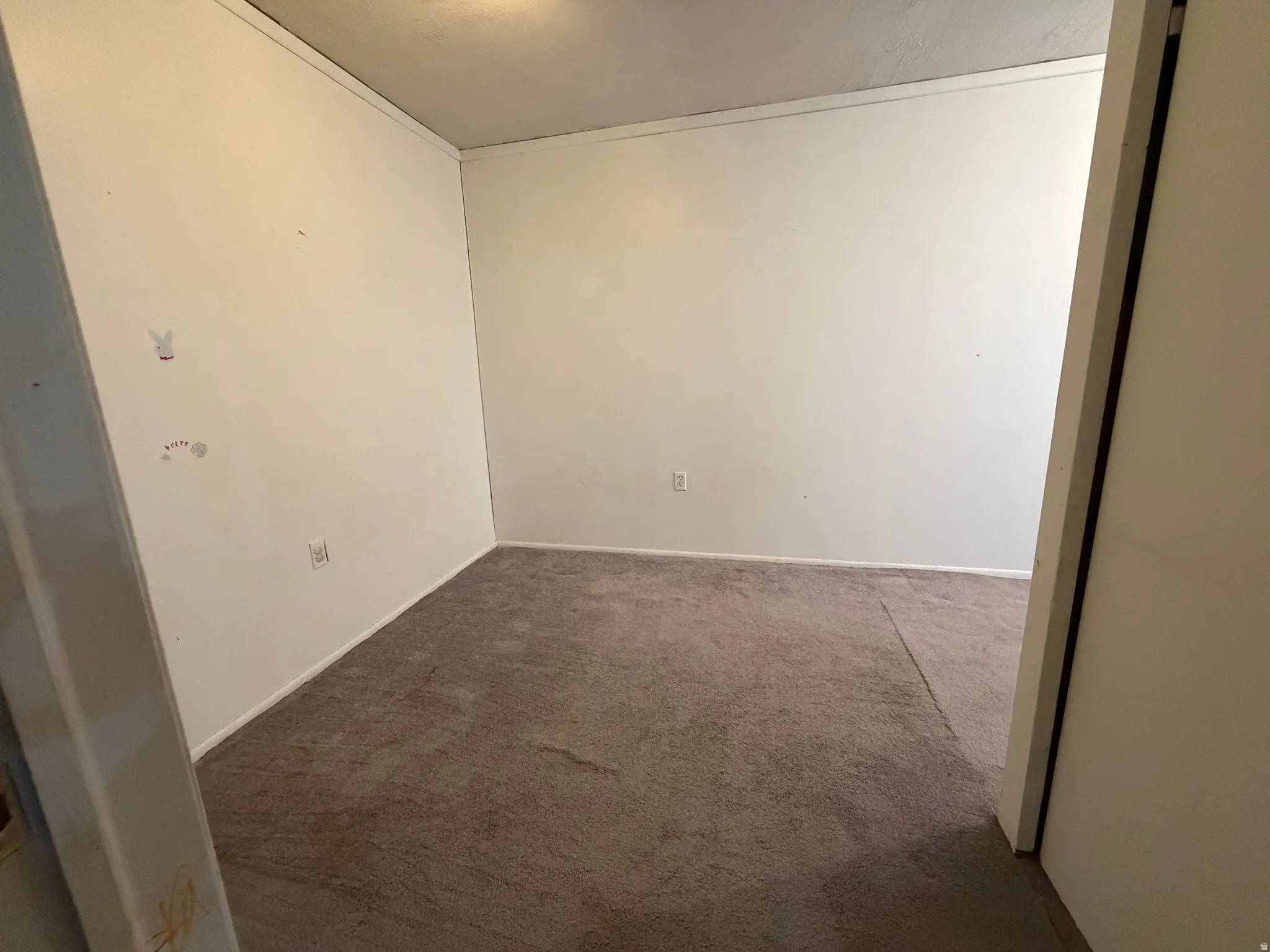 Carpeted interior room featuring light-toned walls and white baseboards