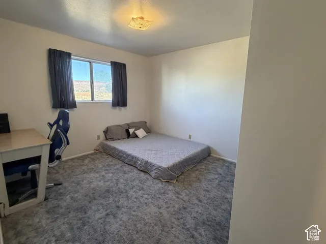 Bedroom 2 featuring a window with natural light, textured gray carpeting, and a flush-mount ceiling light fixture