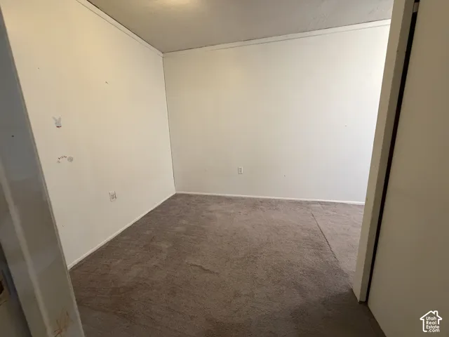 Carpeted interior room featuring light-toned walls and white baseboards