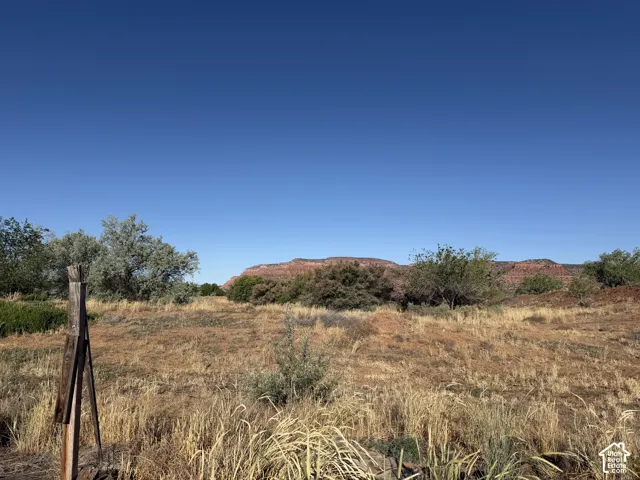 Expansive natural landscape featuring a clear blue sky, distant red rock formations, and varied ground cover