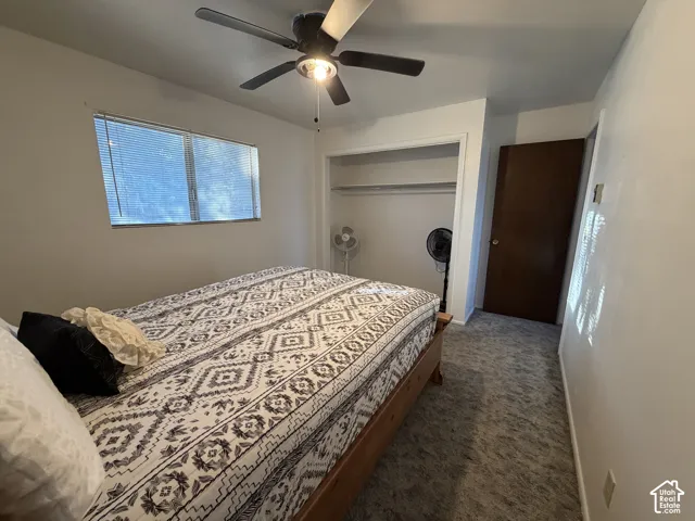 Carpeted room featuring a ceiling fan with integrated lighting, a window with horizontal blinds, and an open closet with shelving