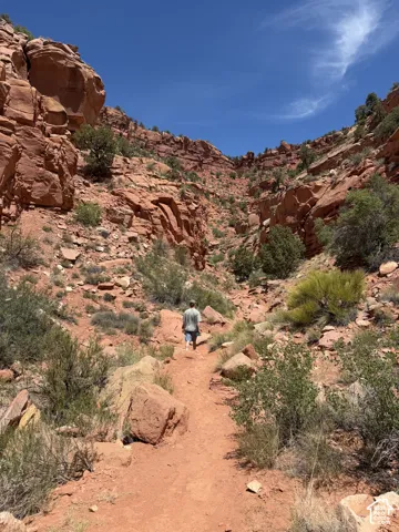 Local Kanab Trail for hiking near by