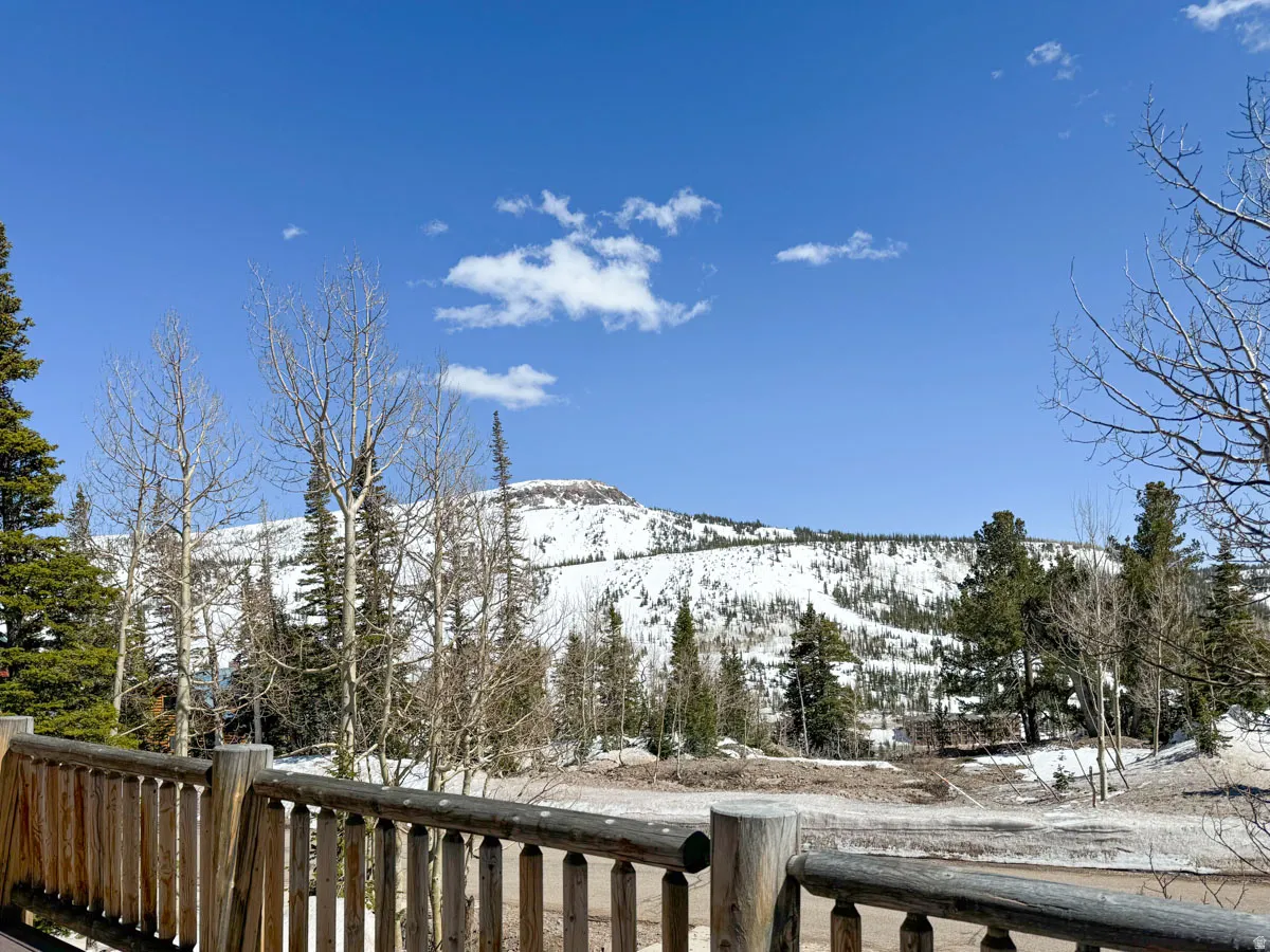 Expansive mountain scenery featuring a snow-covered landscape and evergreen trees