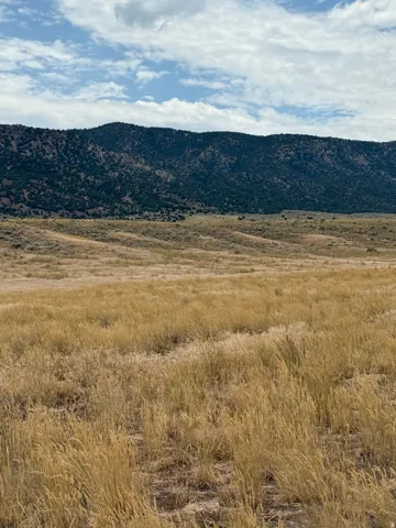 Expansive landscape featuring dry grasses, natural terrain, and a distant tree-covered mountain range under a partly cloudy sky