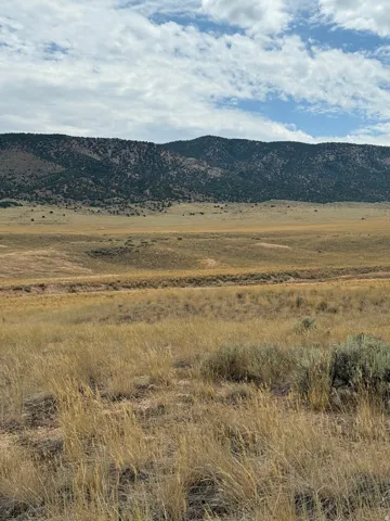 Expansive natural landscape with varied topography, featuring a distant mountain range with scattered evergreen trees, golden prairie grasses in the foreground, and a subtle valley formation