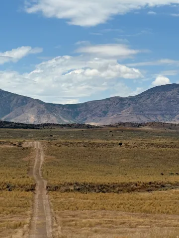 Expansive open land featuring natural grasses and an unpaved road
