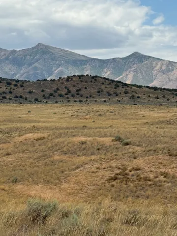Expansive natural landscape featuring a foreground of dry grasses and scattered low-lying shrubbery