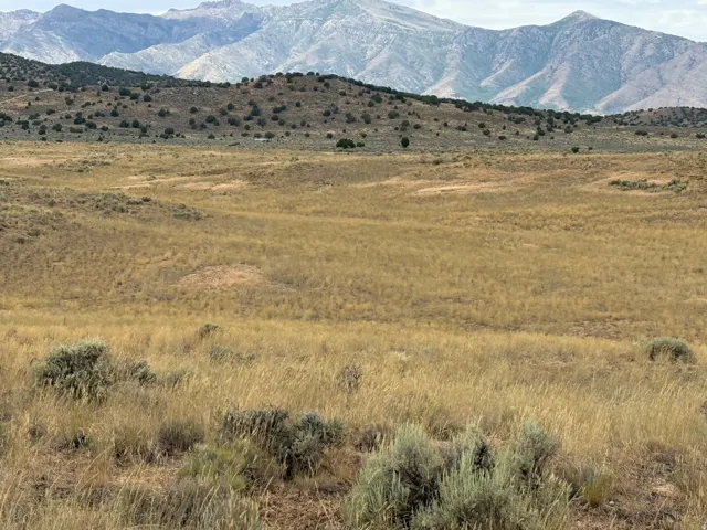 Expansive natural landscape featuring rolling hills and distant mountains