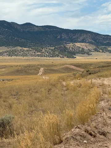 Expansive undeveloped land featuring natural grasses and rolling terrain