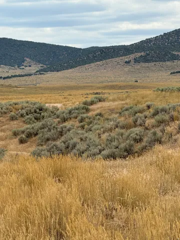 Expansive high desert landscape featuring golden grasses, sagebrush, and distant hills under a partly cloudy sky