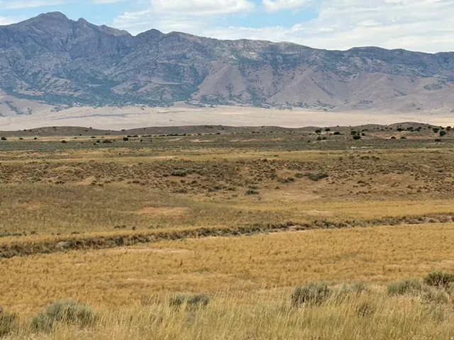 Expansive natural landscape featuring a prominent mountain range in the background and diverse vegetation in the foreground