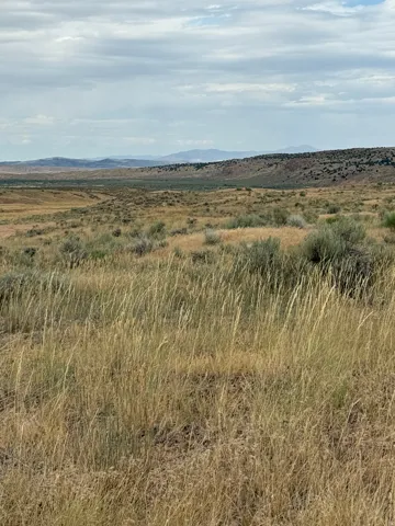 Expansive natural landscape featuring varied terrain, distant mountains, and an open sky