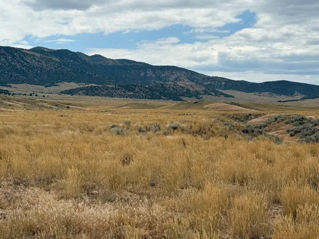 Expansive natural landscape featuring golden grasses and distant mountains under a partly cloudy sky