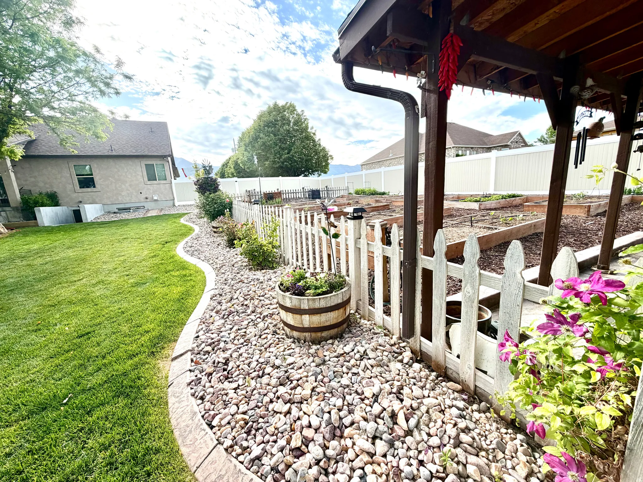 Expansive backyard featuring a manicured lawn, a rock border, and a white picket fence