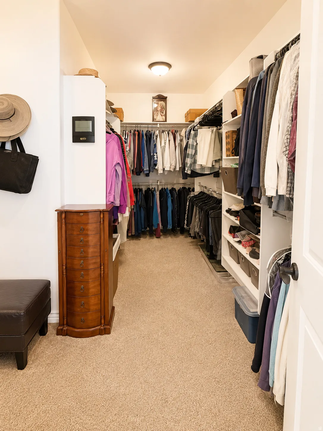 Spacious walk-in closet featuring extensive built-in shelving, multiple hanging rods, and neutral-toned carpeting