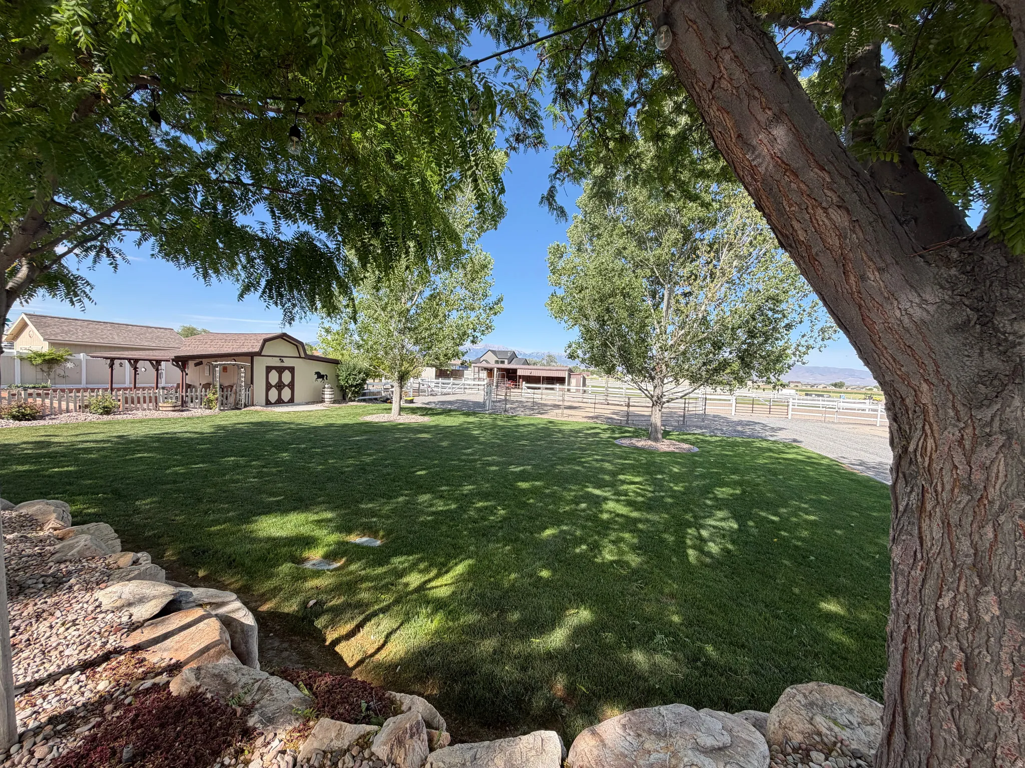 Expansive lawn area with natural rock landscaping, mature shade trees, and a gravel drive