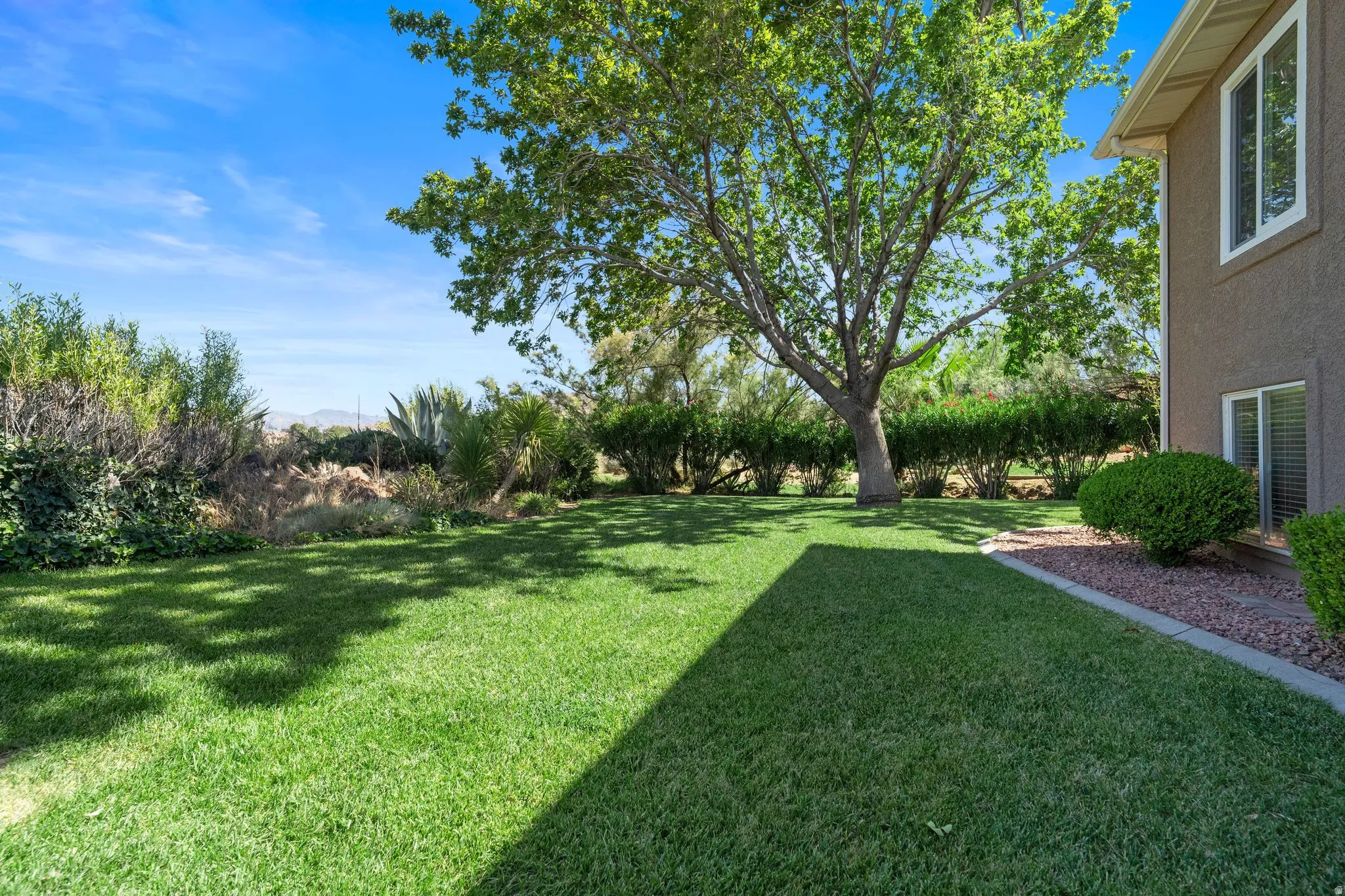 Expansive lawn area featuring a mature shade tree and established perimeter landscaping